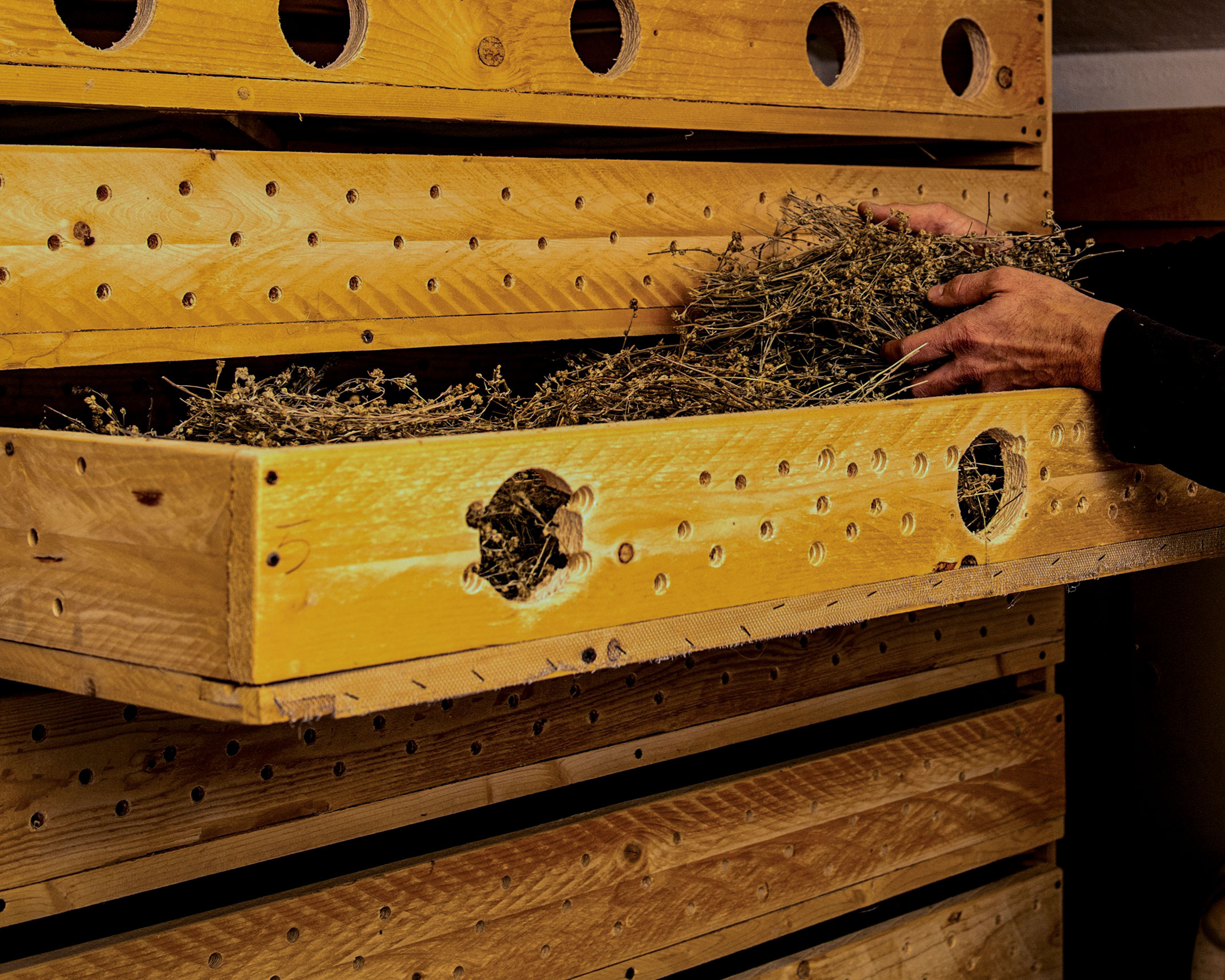 La produzione Distillazione Processo produttivo Infusione